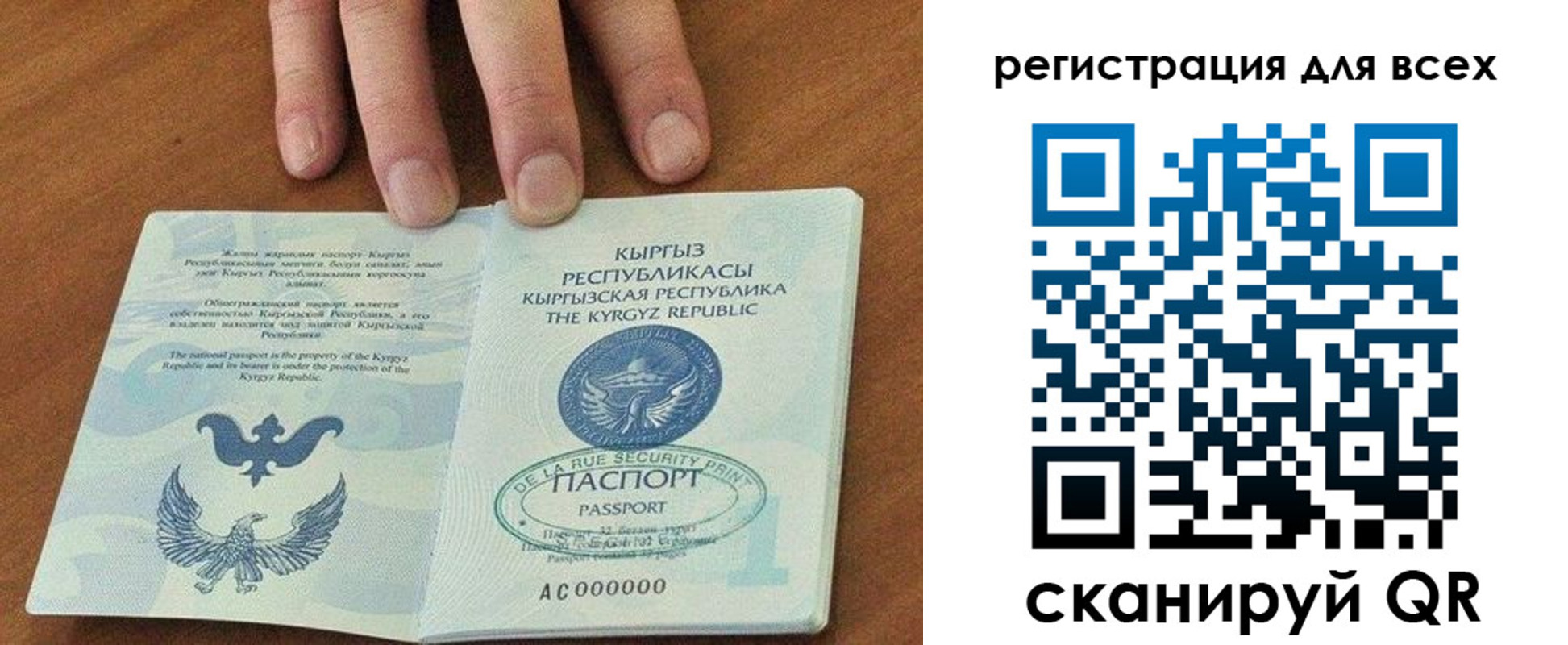 прописка для школы в Сысерти